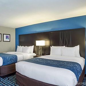Queen Room Two Queen Beds